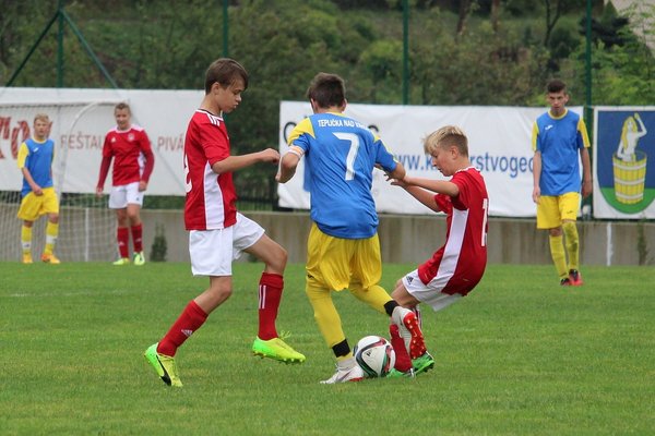 The impact of sports on language preservation and revitalization efforts.