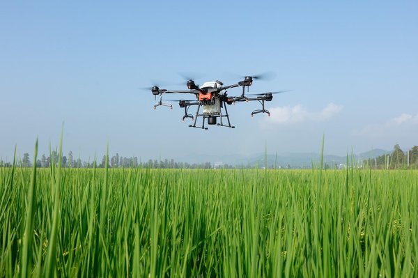 Smart agriculture: using IoT to optimize crop yields